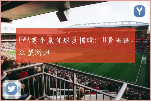 FWA赛季最佳球员揭晓：B费当选，众望所归