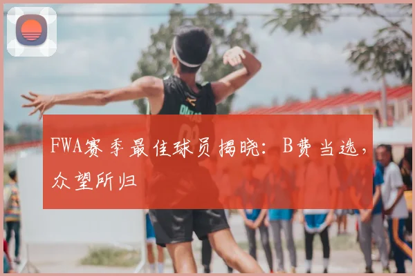FWA赛季最佳球员揭晓：B费当选，众望所归